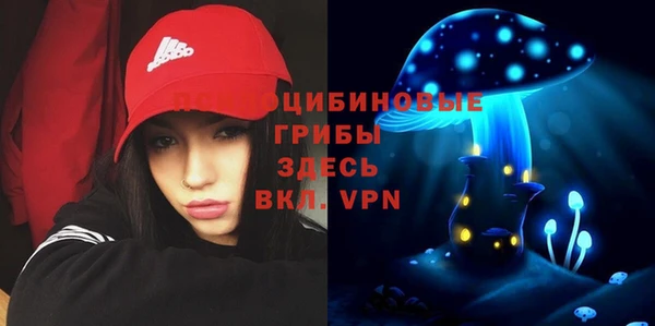 ALPHA-PVP Вяземский