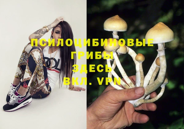 PSILOCYBIN Вязники